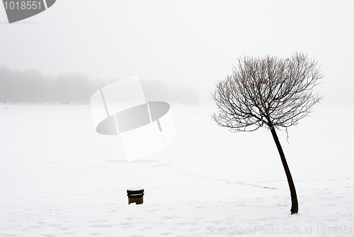 Image of Winter landscape