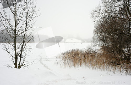 Image of Winter landscape