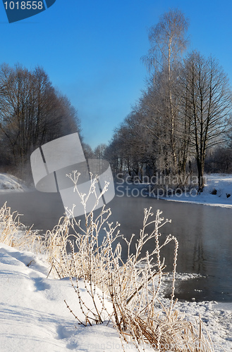 Image of Frosty winter morning