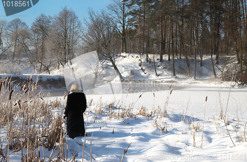 Image of Frosty winter morning