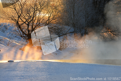 Image of Frosty winter morning