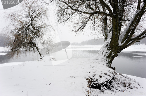 Image of Winter landscape