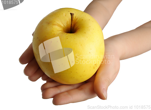 Image of Yellow apple on hand