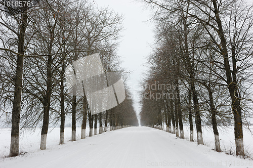 Image of Rural road in winter