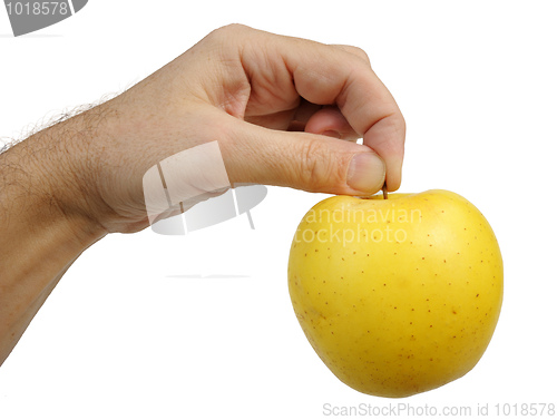 Image of Yellow apple in the hand