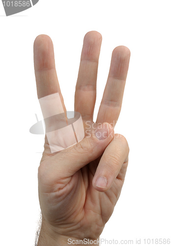 Image of Gesture