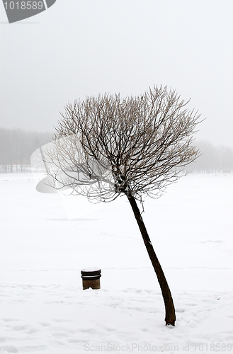 Image of Winter landscape