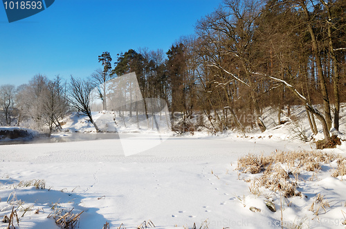 Image of Frosty winter morning