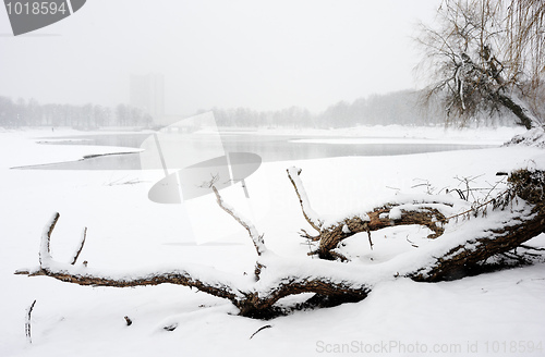 Image of Winter landscape