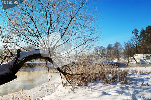 Image of Frosty winter morning