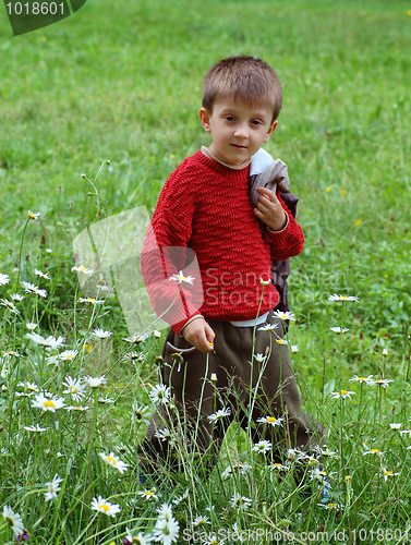 Image of Boy in the meadow.