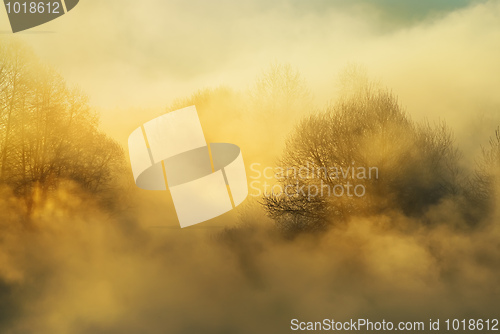 Image of Frosty winter morning