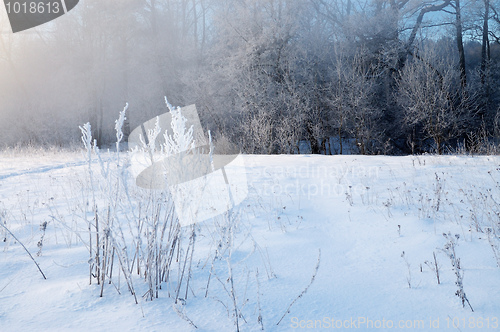 Image of Frosty winter morning