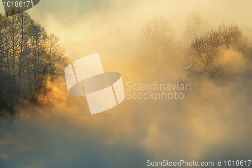 Image of Frosty winter morning