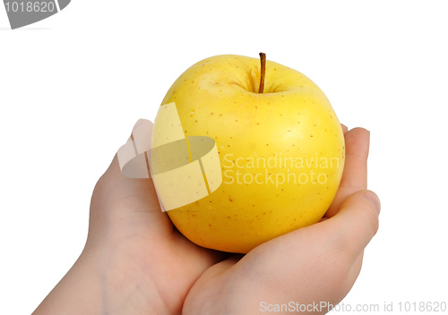 Image of Yellow apple on hand