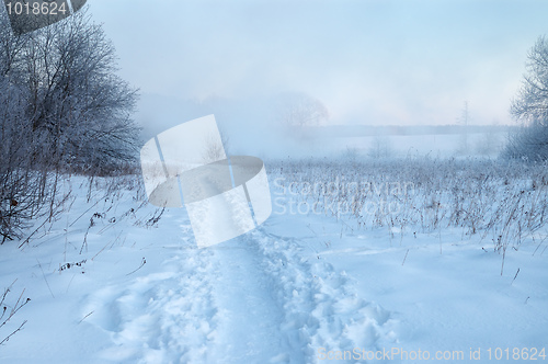 Image of Frosty winter morning