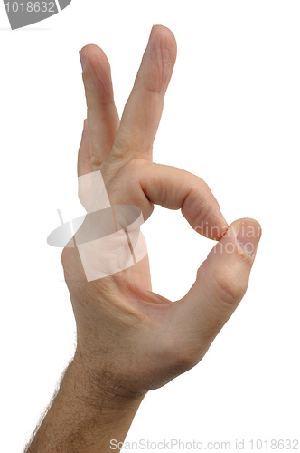 Image of Gesture