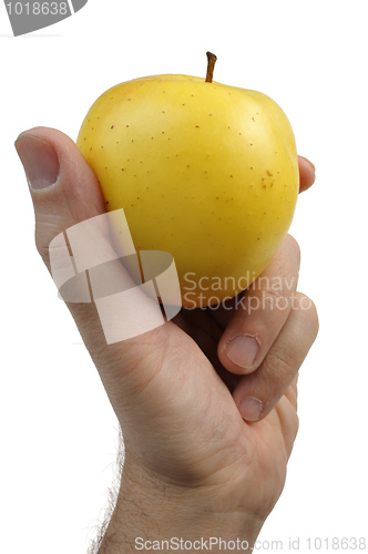 Image of Yellow apple in the hand