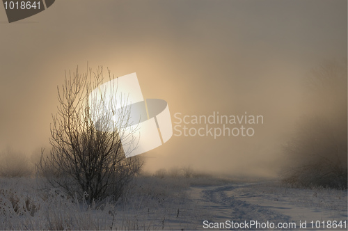 Image of Frosty winter morning