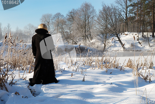 Image of Frosty winter morning