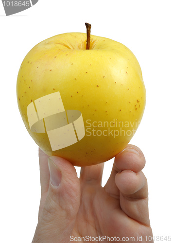 Image of Yellow apple in the hand