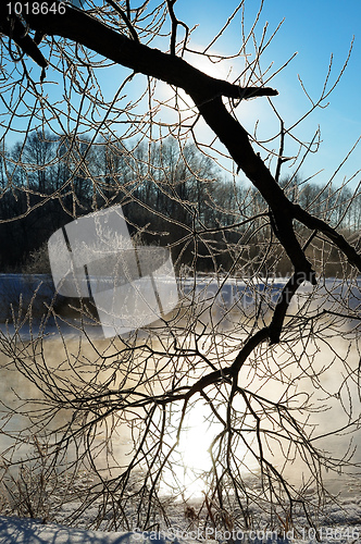 Image of Frosty winter morning