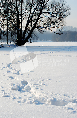 Image of Footprints in the snow 