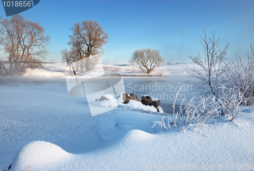 Image of Frosty winter morning