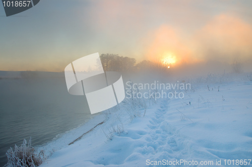 Image of Frosty winter morning