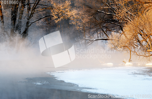 Image of Frosty winter morning