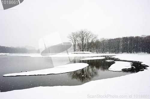 Image of Winter landscape