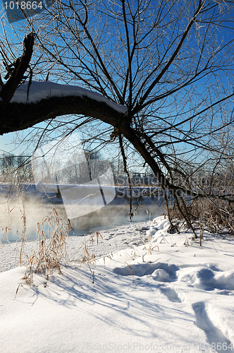 Image of Frosty winter morning