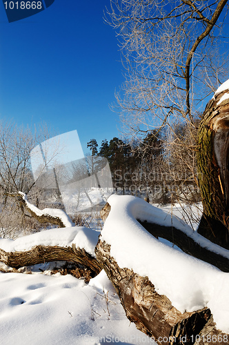 Image of Frosty winter morning