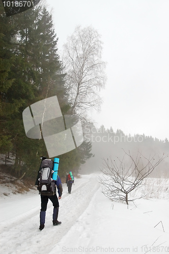 Image of Tourists in the winter forest