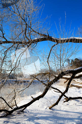 Image of Frosty winter morning