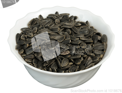Image of Sunflower seeds, isolated