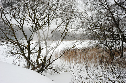 Image of Winter landscape