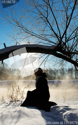 Image of Frosty winter morning