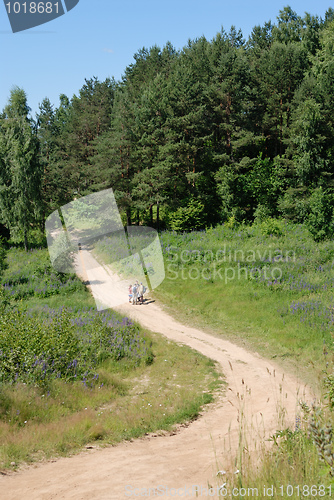 Image of Country road