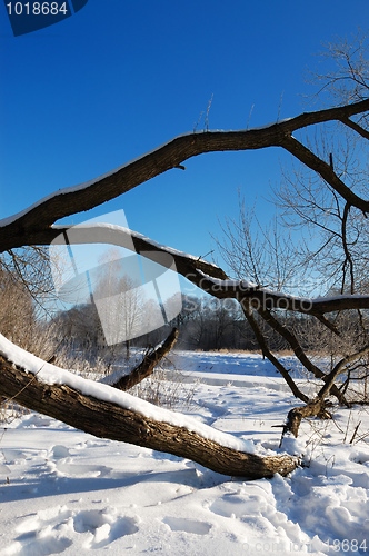 Image of Frosty winter morning