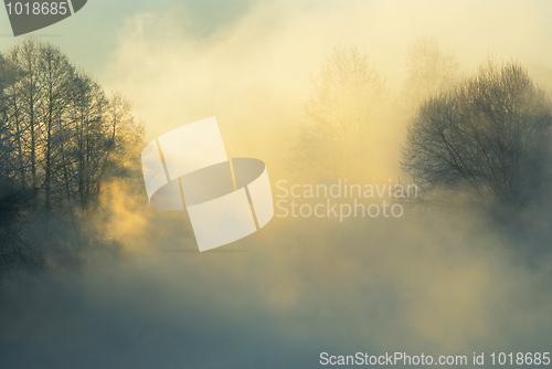 Image of Frosty winter morning