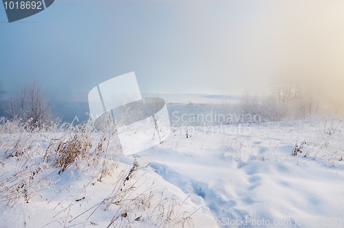 Image of Frosty winter morning