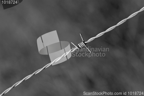 Image of Barbed wire