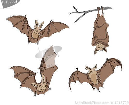 Image of cartoon bats