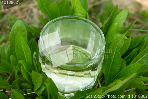 Image of spring water