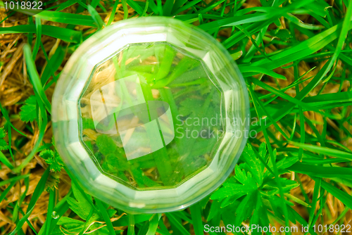 Image of spring water