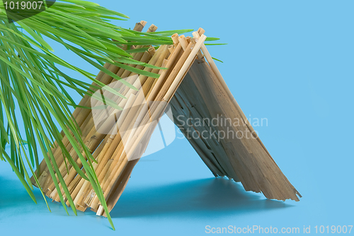 Image of straw hut