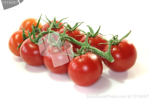 Image of Tomatoes