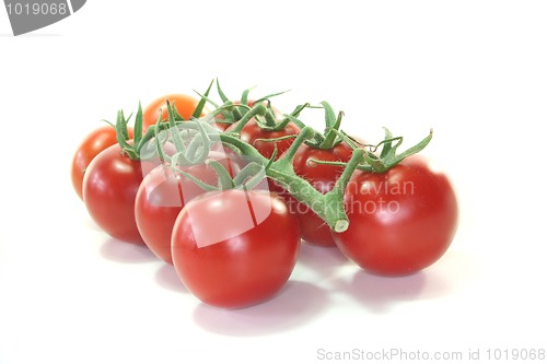 Image of Tomatoes