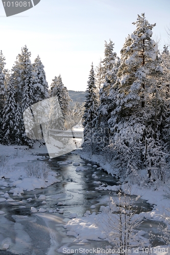 Image of Winter creek